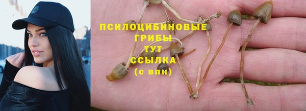 гашиш Инсар
